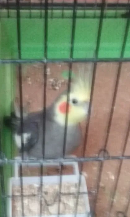 Pet Stop Picture 3