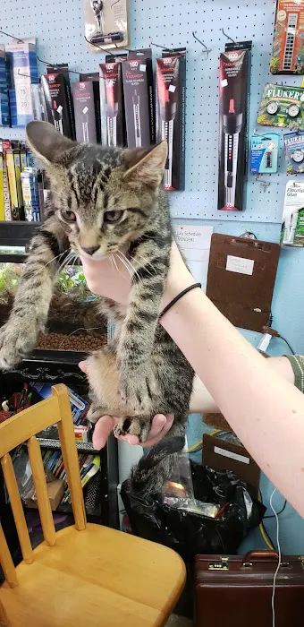Pet Stop Picture 4