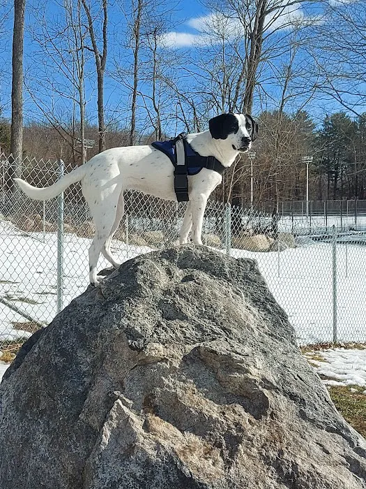 Norwich Veterinary Hospital Picture 8
