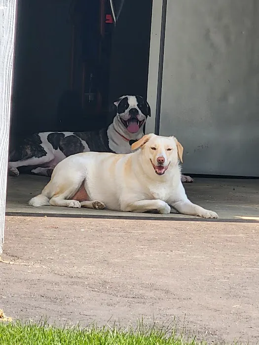 All Friends Animal Hospital Picture 8