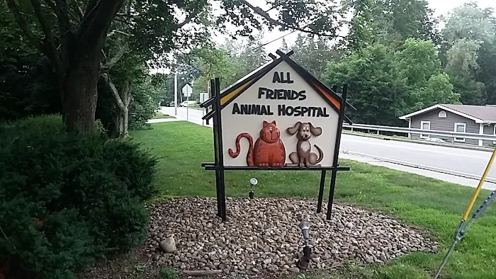 All Friends Animal Hospital Picture 4