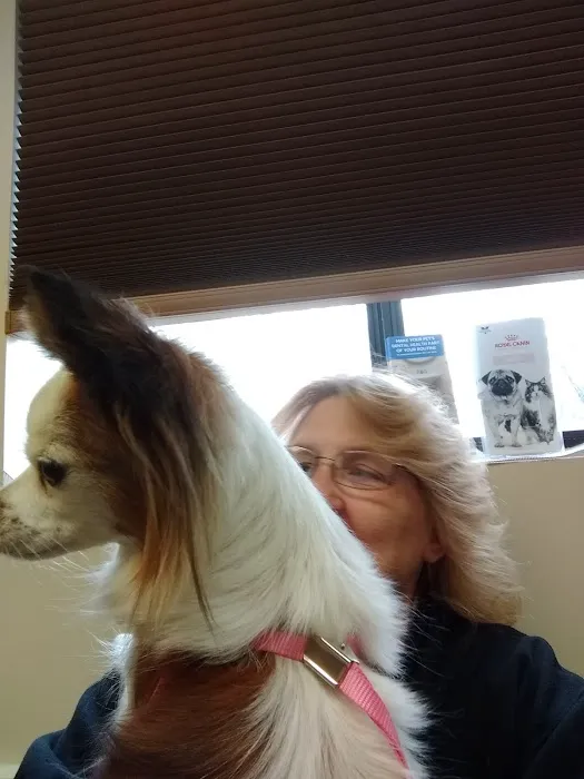 All Friends Animal Hospital Picture 10