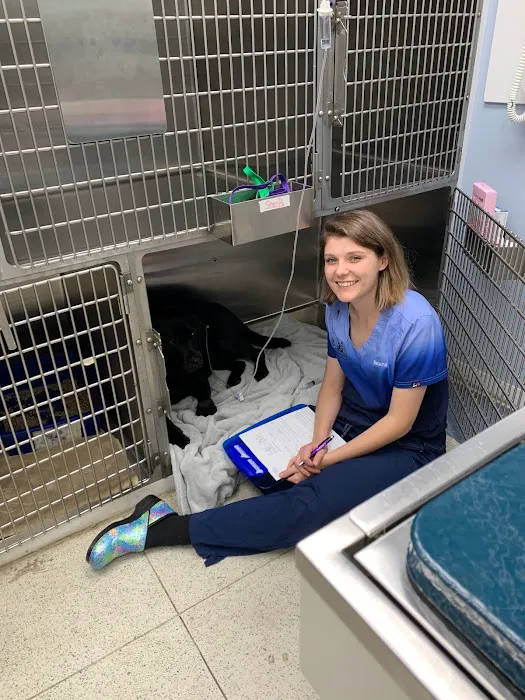 Noank-Mystic Veterinary Hospital Picture 2