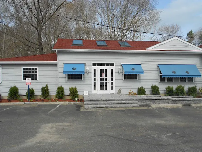 Noank-Mystic Veterinary Hospital Picture 4