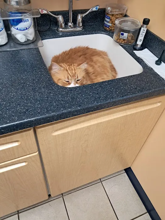 Noank-Mystic Veterinary Hospital Picture 6