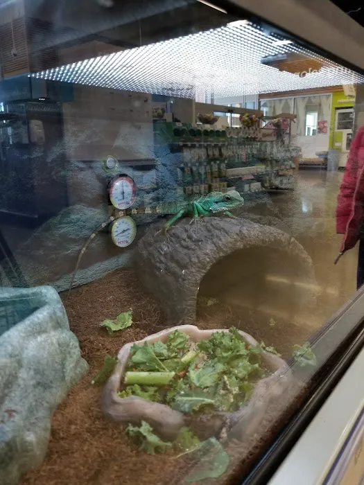 Petco Picture 10