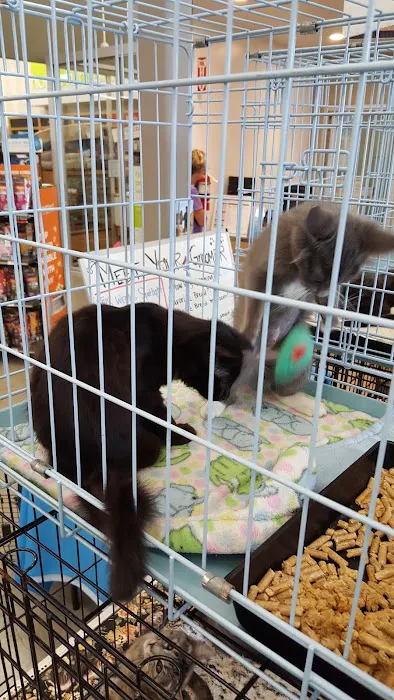 Petco Picture 1