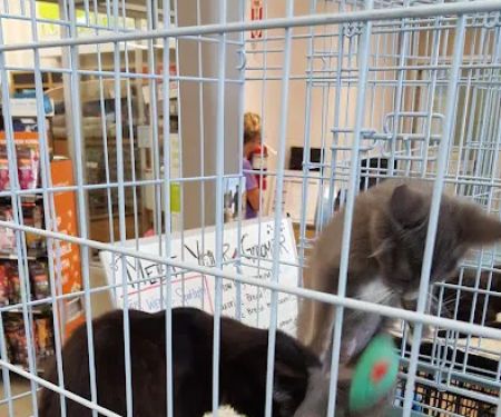 Petco
