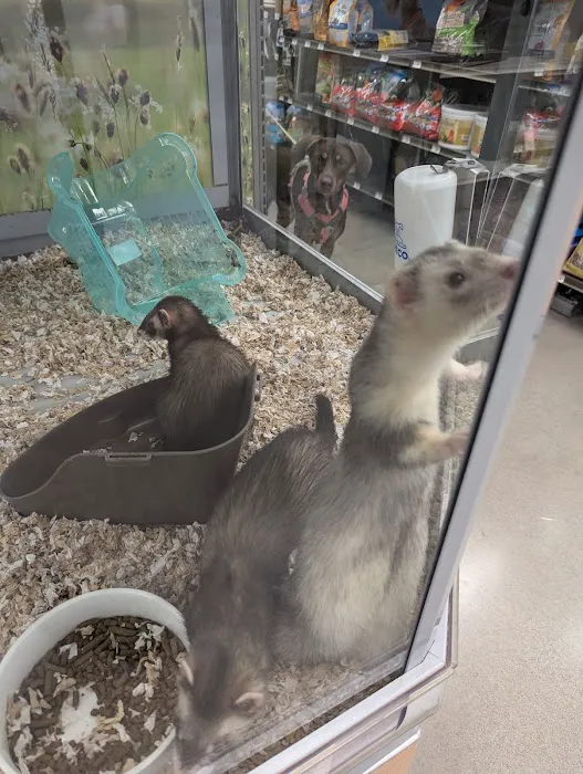 Petco Picture 7