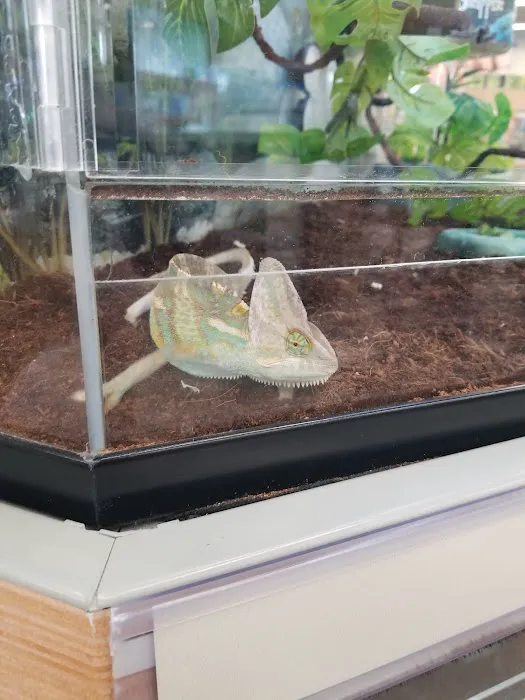 Petco Picture 5