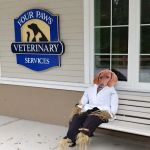 Four Paws Veterinary Services, PC