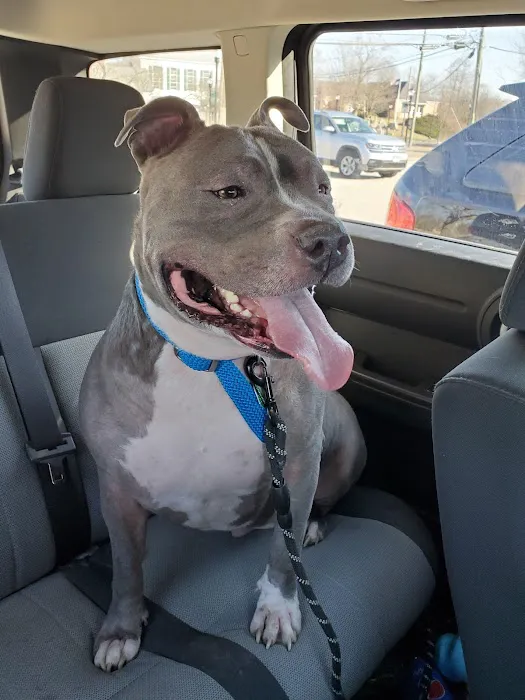 Four Paws Veterinary Services, PC Picture 7