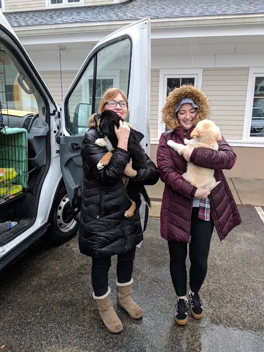 Four Paws Veterinary Services, PC Picture 10