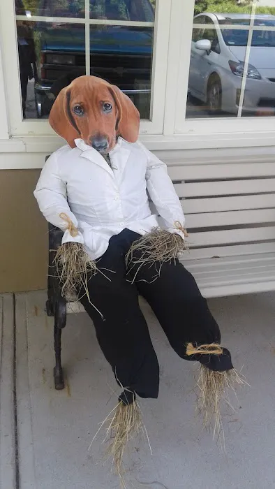 Four Paws Veterinary Services, PC Picture 9