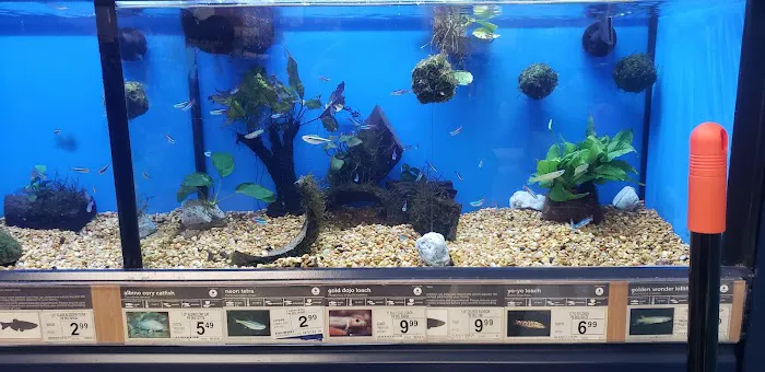 Petco Picture 4