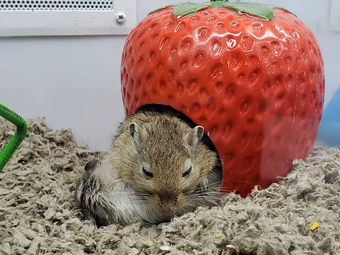 Petco Picture 10
