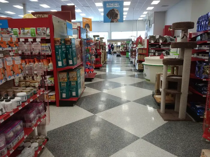 Petco Picture 5