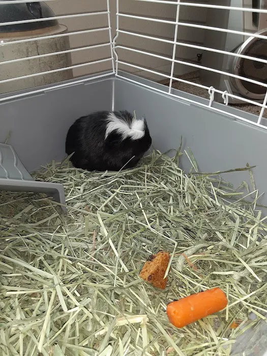 Petco Picture 3