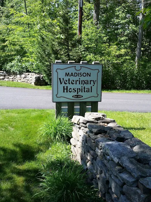 Madison Veterinary Hospital Picture 1