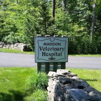 Madison Veterinary Hospital ico
