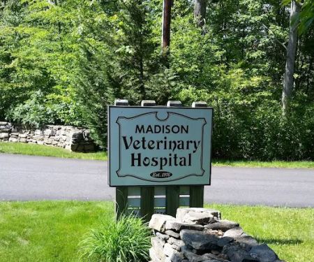 Madison Veterinary Hospital