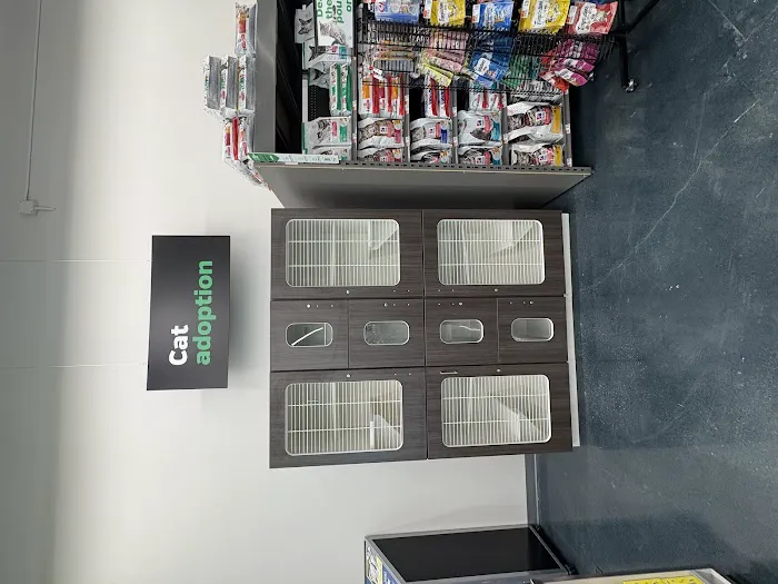 Pet Supplies Plus Burlington Picture 5
