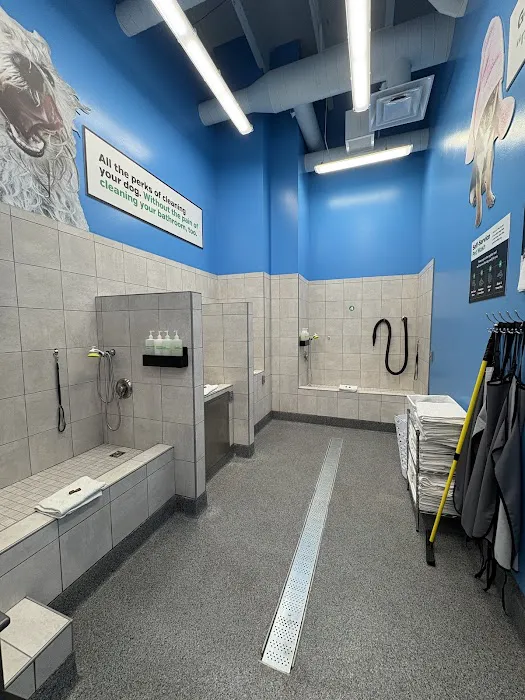 Pet Supplies Plus Burlington Picture 4