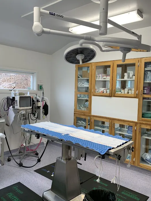 Guilford Veterinary Hospital Picture 5
