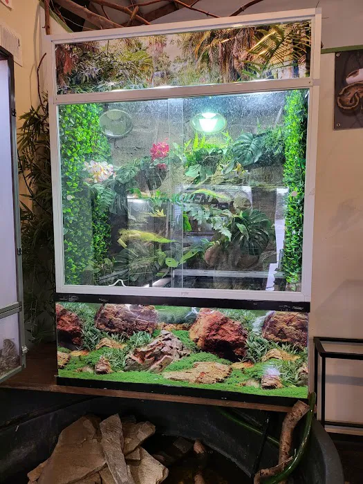 Reptiles, Etc. Picture 2