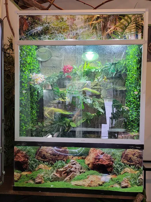 Reptiles, Etc. Picture 8