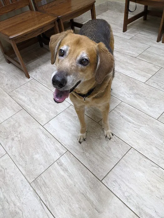 Guilford Animal Medical Center Picture 5