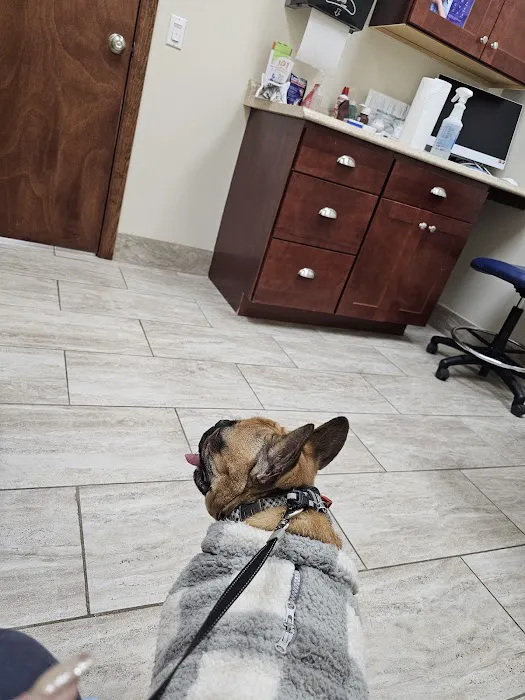 Guilford Animal Medical Center Picture 7