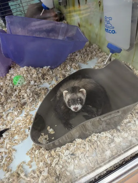 Petco Picture 10