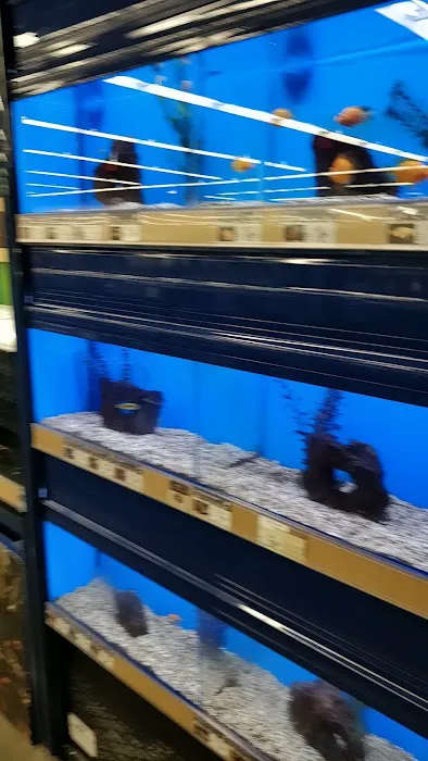 Petco Picture 6