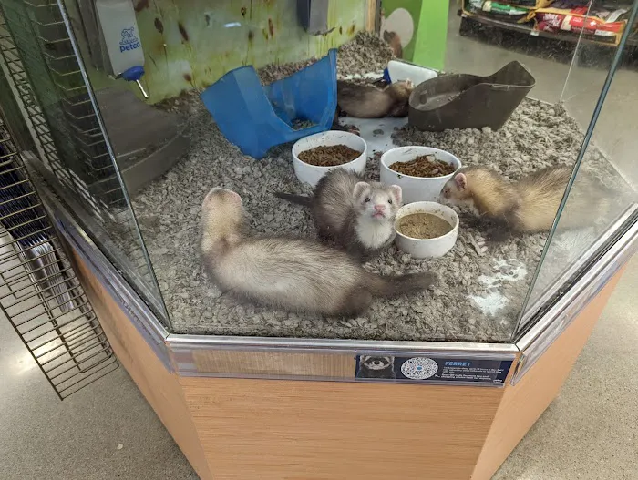 Petco Picture 3