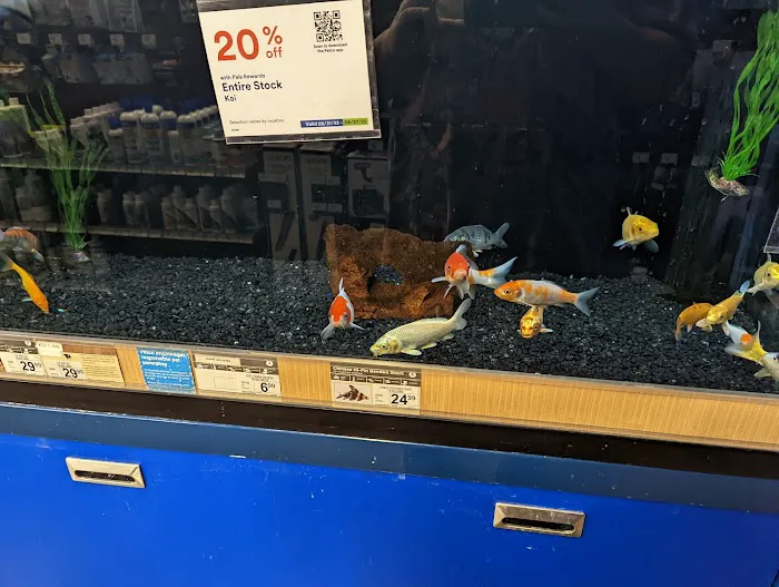 Petco Picture 2