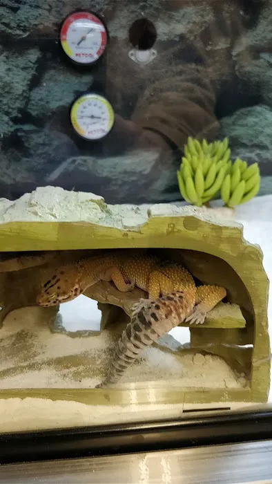 Petco Picture 7