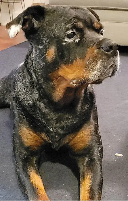 Moodus Veterinary Practice Picture 9