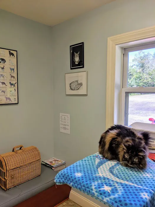 Higganum Veterinary Clinic Picture 7