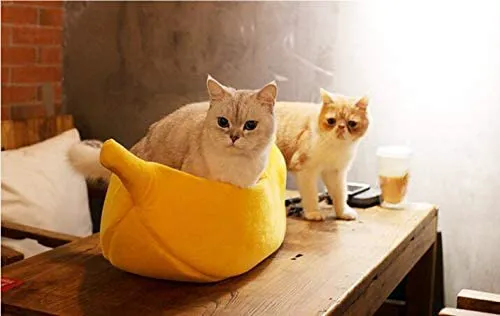 Barkermeow Picture 3