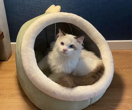 Barkermeow