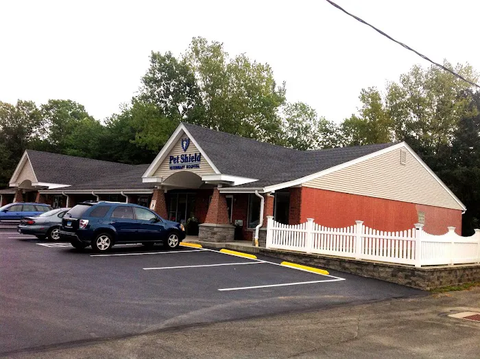 Pet Shield Veterinary Hospital Picture 6