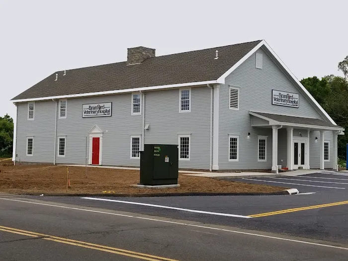 Branford Veterinary Hospital Picture 2