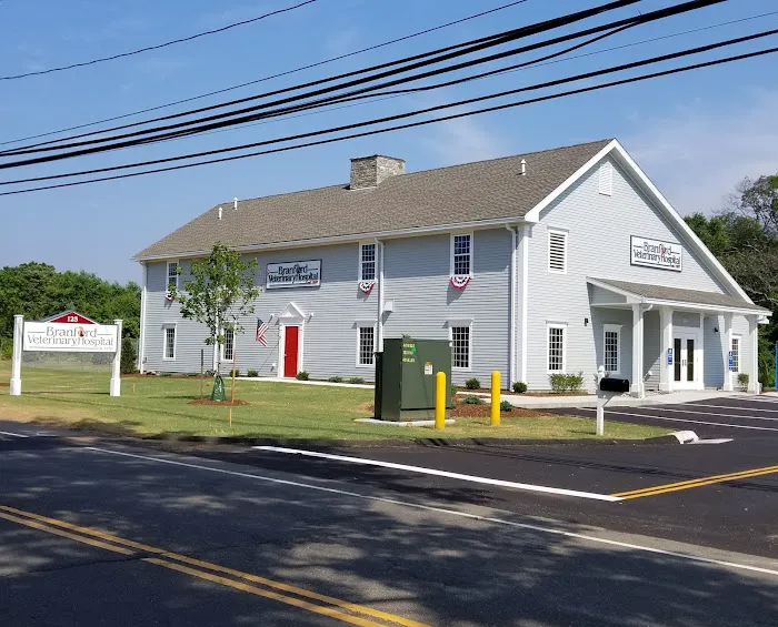 Branford Veterinary Hospital Picture 4