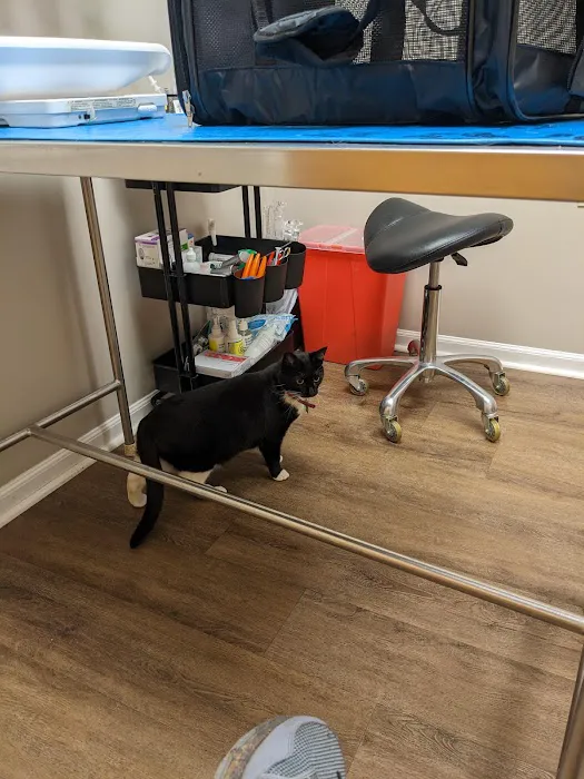 Montowese Veterinary Clinic Picture 5