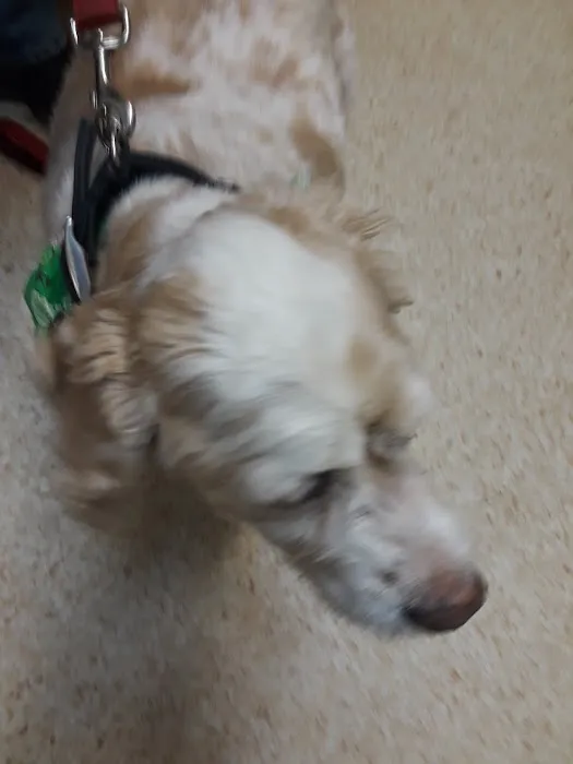 Mill Pond Veterinary Hospital Picture 4