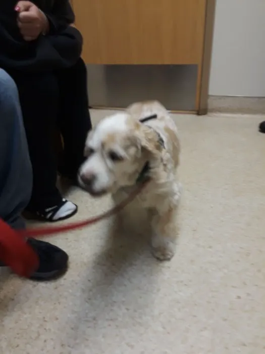 Mill Pond Veterinary Hospital Picture 3