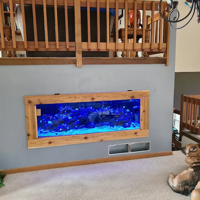 Aquatic Life Designs, LLC Picture 7