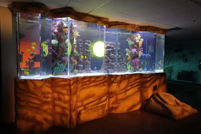 Aquatic Life Designs, LLC Picture 4