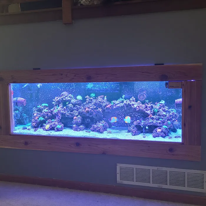 Aquatic Life Designs, LLC Picture 5